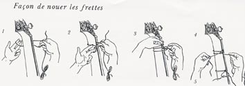 frettes.jpg (9751 octets)